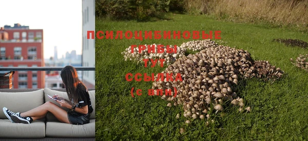 spice Туринск