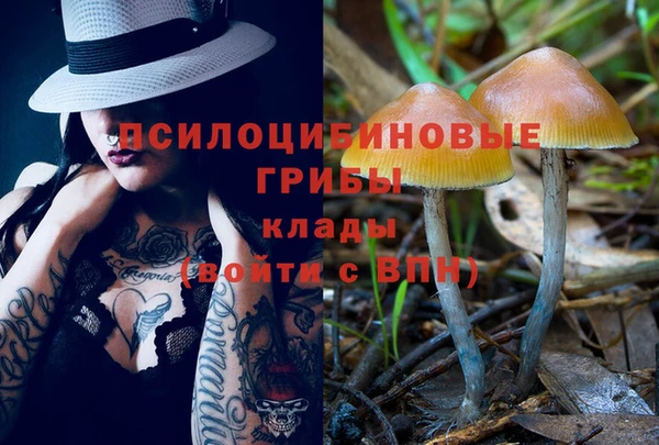 экстази Переславль-Залесский